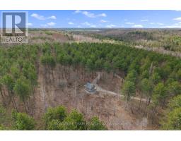 359 Dittburner Road, Whitewater Region, ON K0J1V0 Photo 6