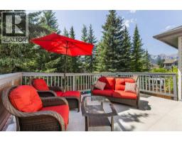 Furnace - 545 Grotto Road, Canmore, AB T1W1J1 Photo 14