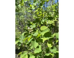57318 Rge Rd 25, Rural Barrhead County, AB T0E1A0 Photo 24