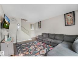 Recreation room - 203b Homestead Cr Nw, Edmonton, AB T5A2Y2 Photo 8