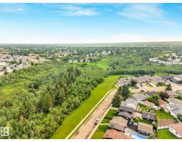 203b Homestead Cr Nw, Edmonton, AB T5A2Y2 Photo 29