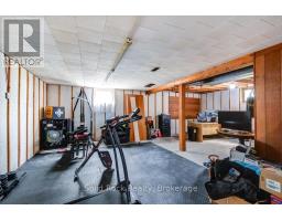 6168 County Rd 50, Trent Hills, ON K0L1L0 Photo 45
