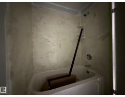 8732 101 Av Nw, Edmonton, AB T5H0A9 Photo 66