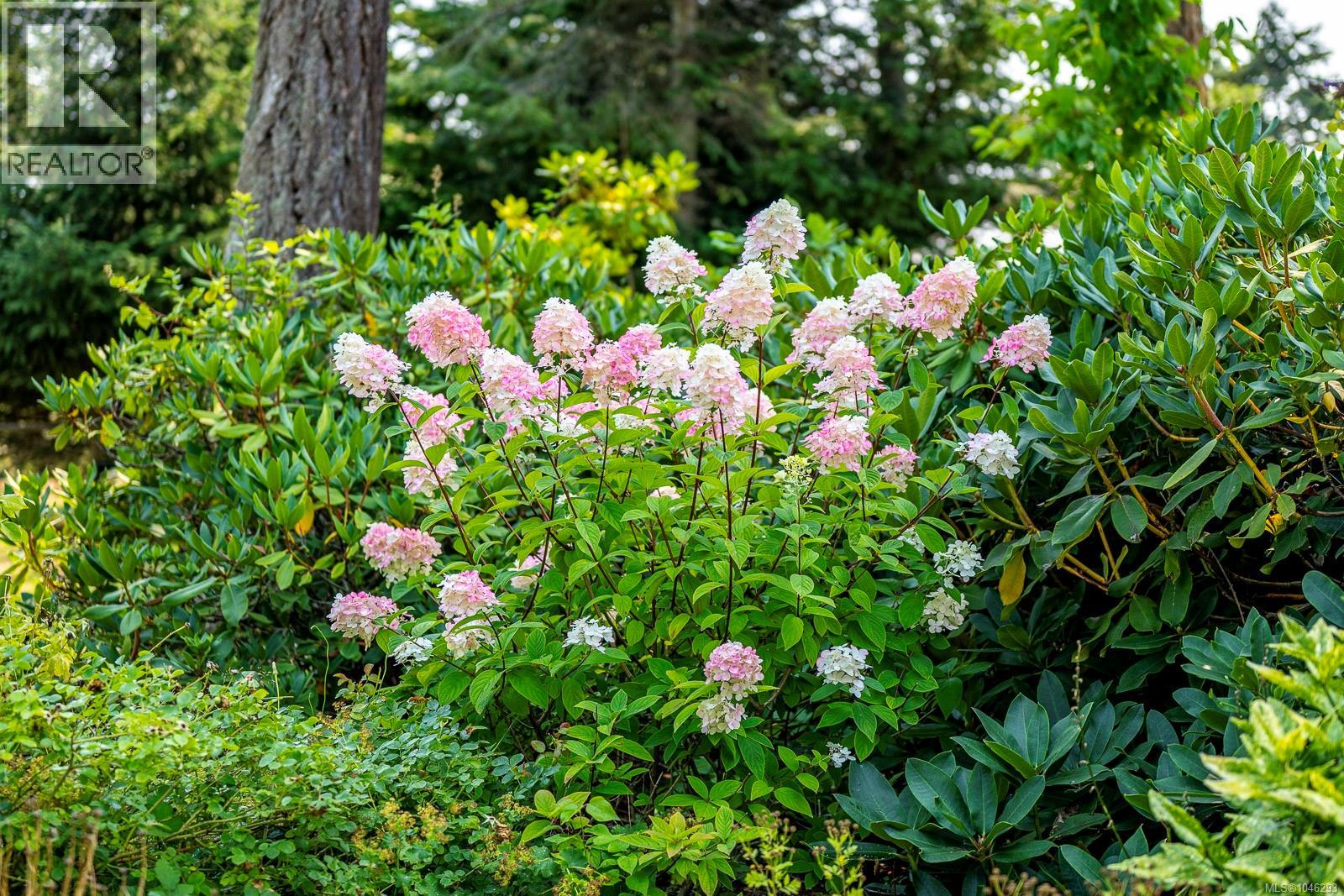485 Southwind Rd, Comox