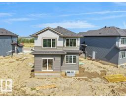 Bonus Room - 1433 Osprey Ct Nw, Edmonton, AB T5S0X4 Photo 8