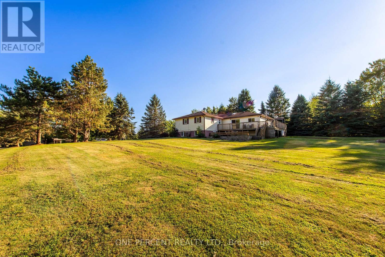 10 CAMPBELL ROAD - 36