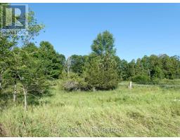 Pt Lt 5 Con 4 James Wilson Road, Frontenac, ON K0H1W0 Photo 23