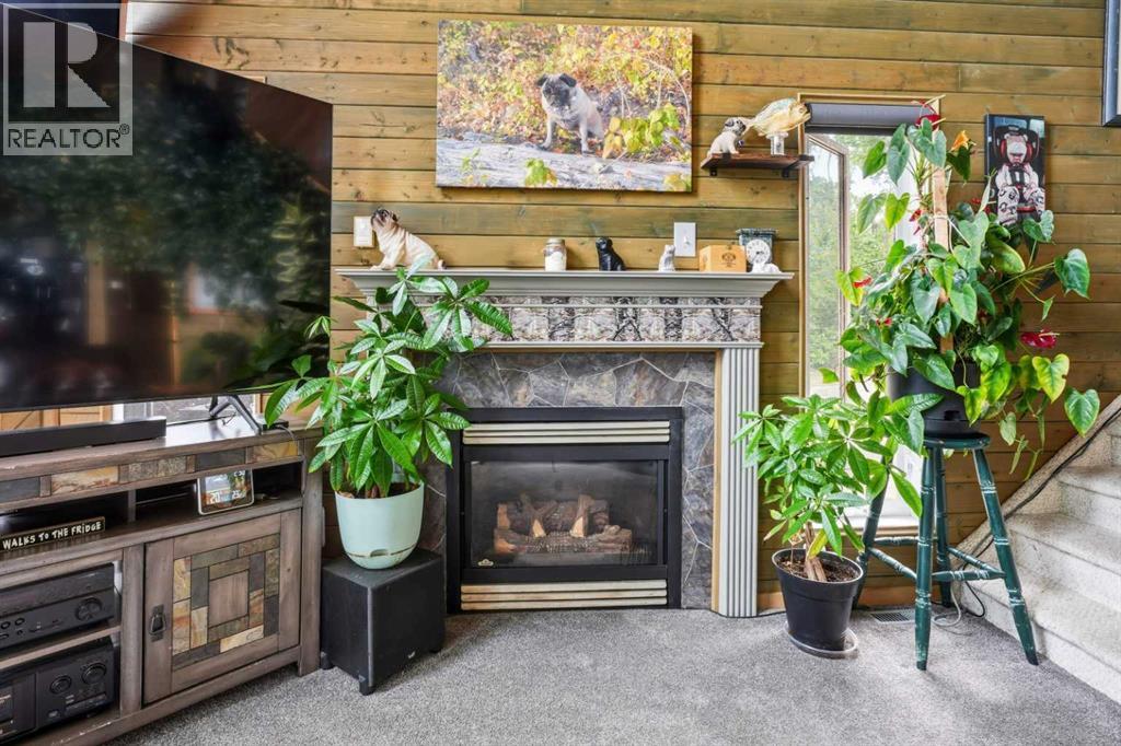 233 Appleby Crescent - 10