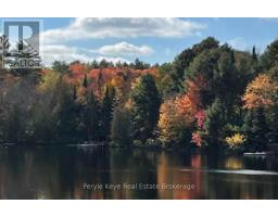1025 & 1027 Big Island Road, Bracebridge, ON P1L1X1 Photo 39