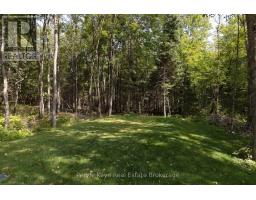 1025 & 1027 Big Island Road, Bracebridge, ON P1L1X1 Photo 42