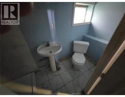 393 Newbury Street, Windsor, ON N9A6A1 Photo 23