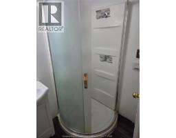 393 Newbury Street, Windsor, ON N9A6A1 Photo 16