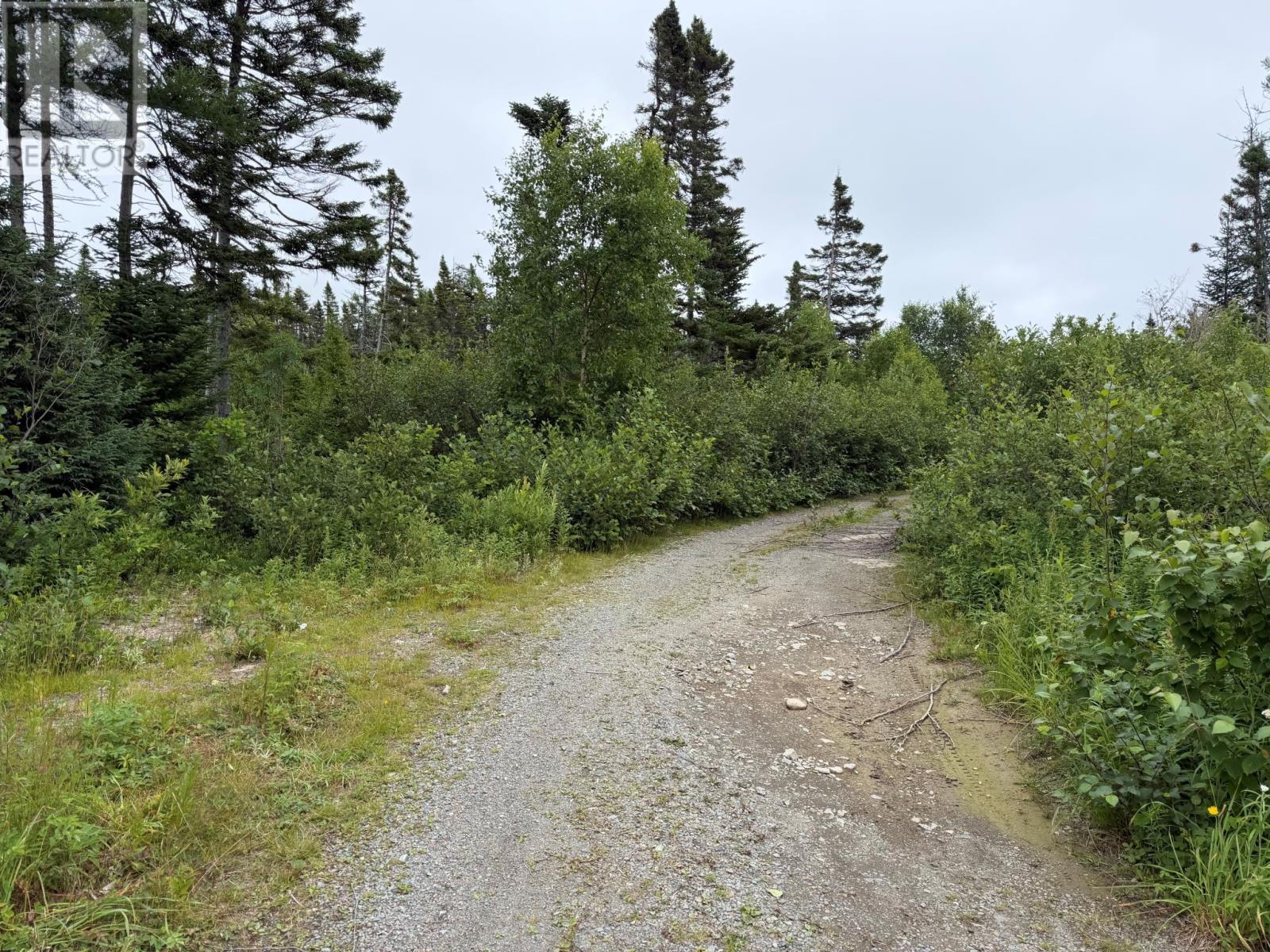 0 Main Street, Dog Bay — photo 3