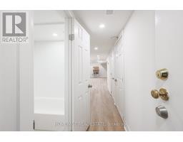 Lower - 81 Shields Avenue, Toronto, ON M5N2K3 Photo 16