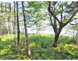 83.9 Acres Grand Mira South Road, Grand Mira South, NS B1K1H2 Photo 19