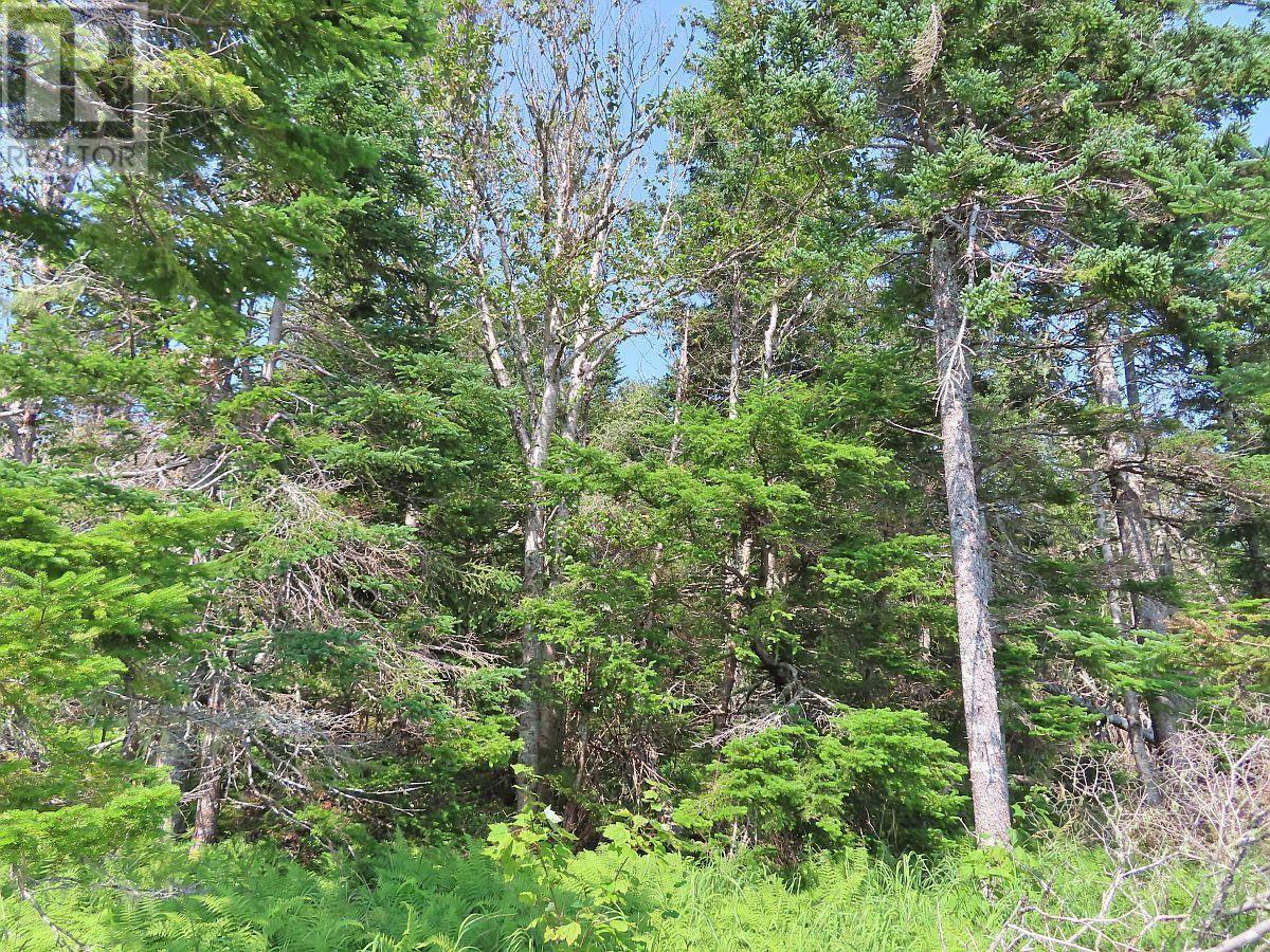 Property 16 of 41 of 83.9 Acres Grand Mira South Road