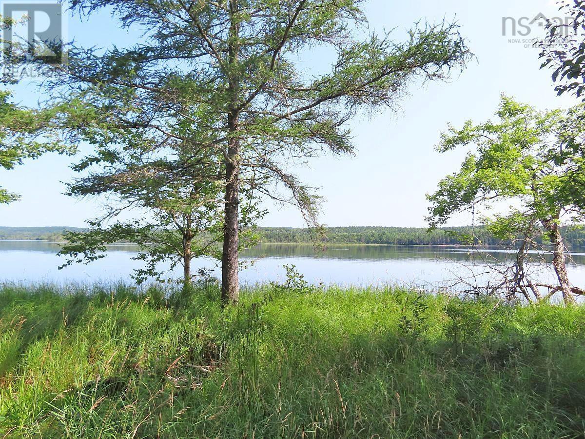 Property 20 of 41 of 83.9 Acres Grand Mira South Road
