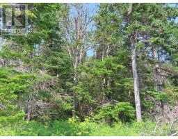 83.9 Acres Grand Mira South Road, Grand Mira South, NS B1K1H2 Photo 16