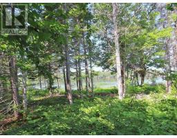 83.9 Acres Grand Mira South Road, Grand Mira South, NS B1K1H2 Photo 15