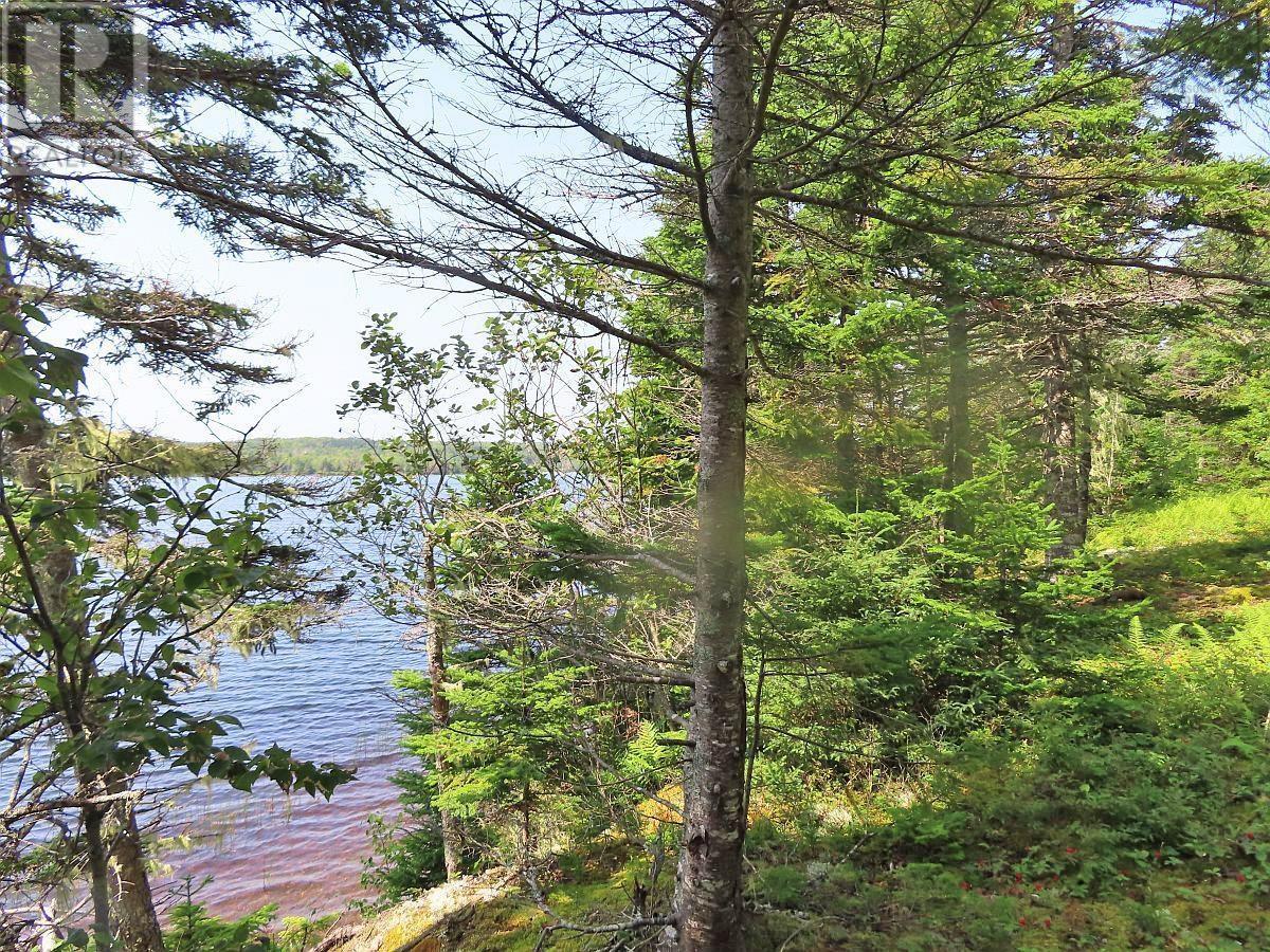 Property 14 of 41 of 83.9 Acres Grand Mira South Road
