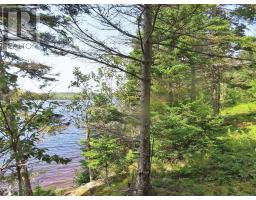 83.9 Acres Grand Mira South Road, Grand Mira South, NS B1K1H2 Photo 14