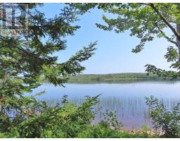83.9 Acres Grand Mira South Road, Grand Mira South, NS B1K1H2 Photo 21