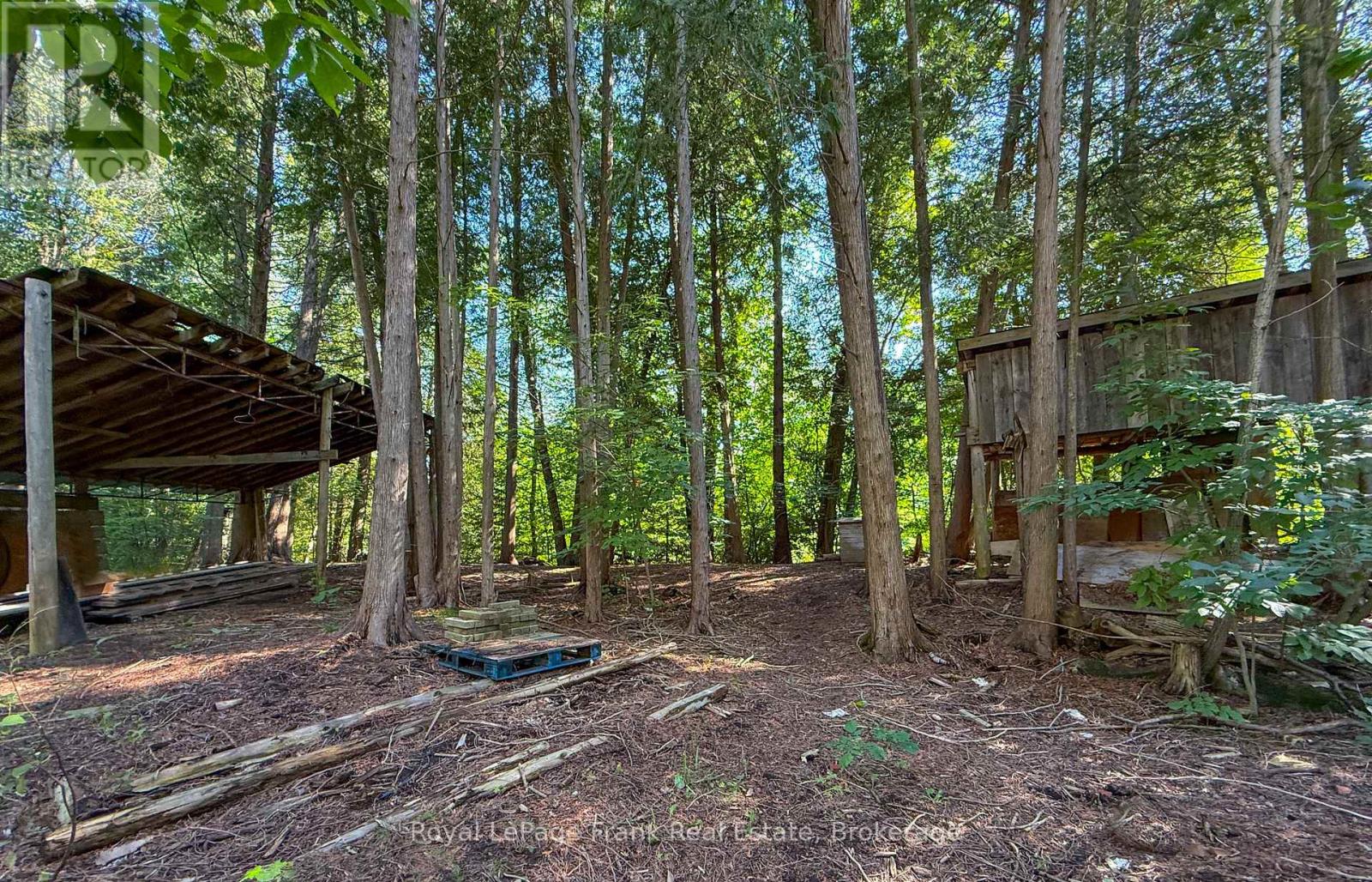 14125 REGIONAL RD 57 - Image 33
