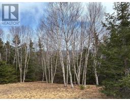 Eskasoni Road, Northside East Bay, NS B1J1J4 Photo 10