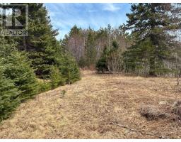 Eskasoni Road, Northside East Bay, NS B1J1J4 Photo 12