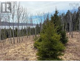 Eskasoni Road, Northside East Bay, NS B1J1J4 Photo 8