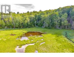 Lot 2 Jordan Branch Road, Jordan Branch, NS B0T1W0 Photo 11