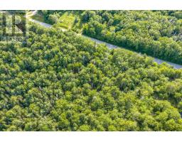 Lot 2 Jordan Branch Road, Jordan Branch, NS B0T1W0 Photo 13