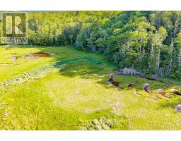 Lot 2 Jordan Branch Road, Jordan Branch, NS B0T1W0 Photo 9