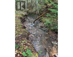 146 Pinky Creek Road, Parrsboro, NS B0M1S0 Photo 48