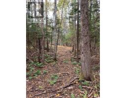 146 Pinky Creek Road, Parrsboro, NS B0M1S0 Photo 49