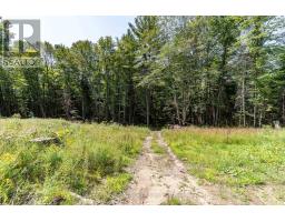 1265 Britannia Road, Huntsville, ON P1H2J3 Photo 43