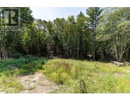 1265 Britannia Road, Huntsville, ON P1H2J3 Photo 42