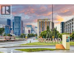 648 Mcdougall Road Ne, Calgary, AB T2E4Z7 Photo 28