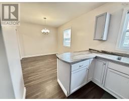 41 Irving Street, Dartmouth, NS B2W1K1 Photo 10