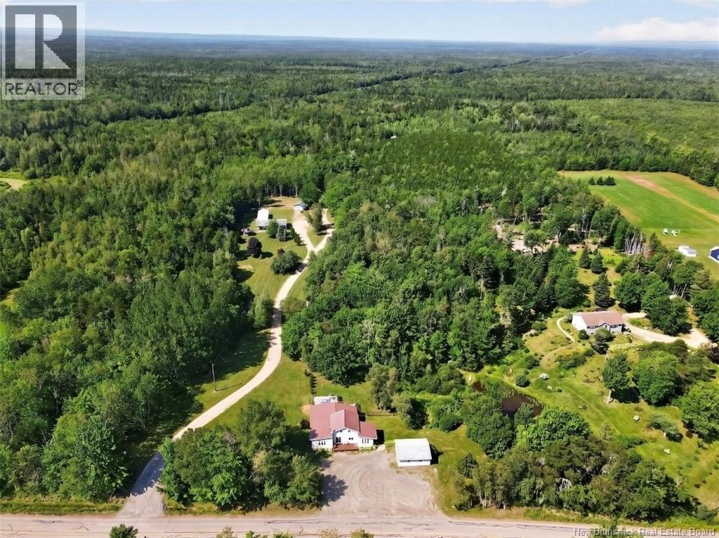 1135 Pine Glen
