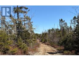 Lots Ostrea Lake Road, Ostrea Lake, NS B0J2L0 Photo 12