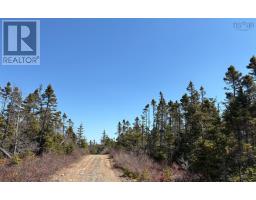 Lots Ostrea Lake Road, Ostrea Lake, NS B0J2L0 Photo 11