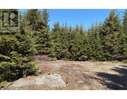 Lots Ostrea Lake Road, Ostrea Lake, NS B0J2L0 Photo 15