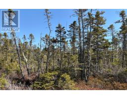 Lots Ostrea Lake Road, Ostrea Lake, NS B0J2L0 Photo 14