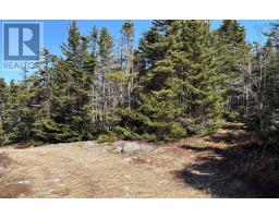 Lots Ostrea Lake Road, Ostrea Lake, NS B0J2L0 Photo 16