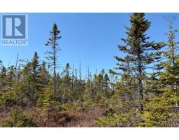 Lots Ostrea Lake Road, Ostrea Lake, NS B0J2L0 Photo 13