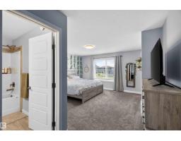 1325 Podersky Wd Sw, Edmonton, AB T6W5E4 Photo 49