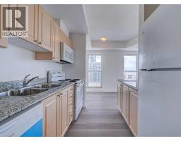 135 James Street S Unit# 1402, Hamilton, ON L8P2Z6 Photo 8