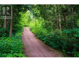 2460 Concession 8 Road, Clarington, ON L1C5X3 Photo 48