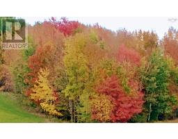 Lot(s) Havre Boucher (simons) Road, Frankville, NS B0H1K0 Photo 10